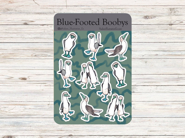 Blue Footed Boobys Sticker Sheet – Hudson Illustration Co