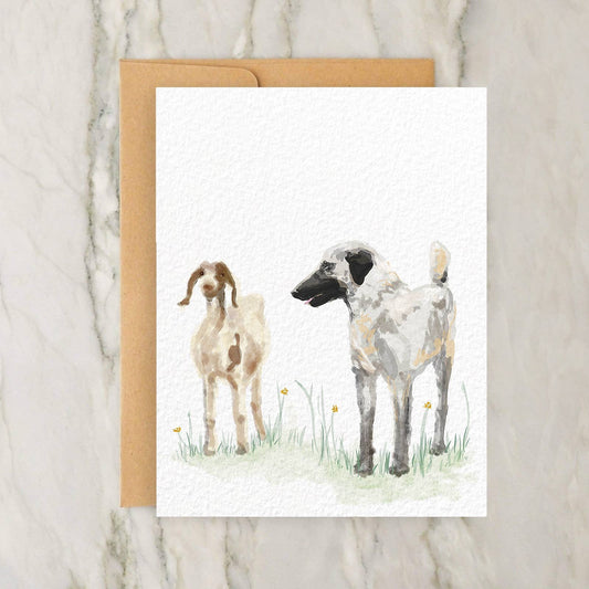 Anatolian Shepherd And Goats Card 4x5"