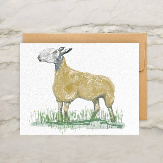 Blue Leicester Sheep Card 4x5"