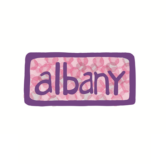 Destination: Albany New York - Plaid - Sticker or Magnet