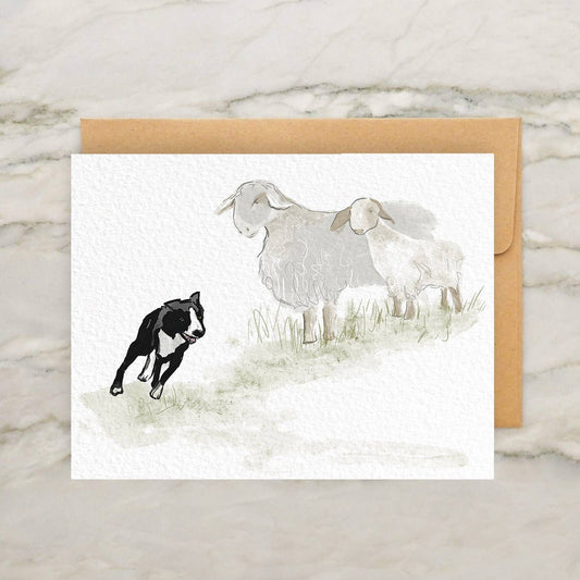 Border Collie and Two Concerned Sheep Card 4x5"