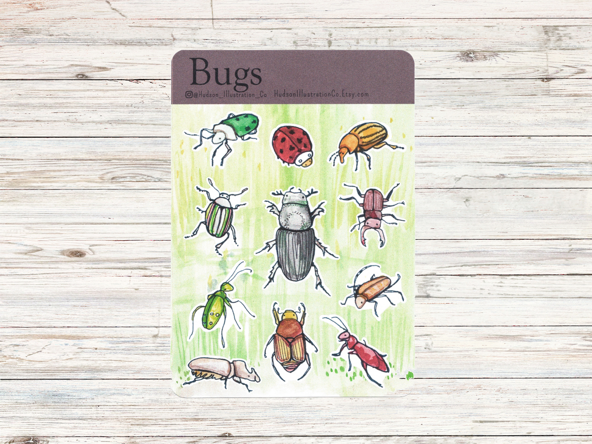 Bug Poster Sticker Bugs Sticker Sheet – Hudson Illustration Co