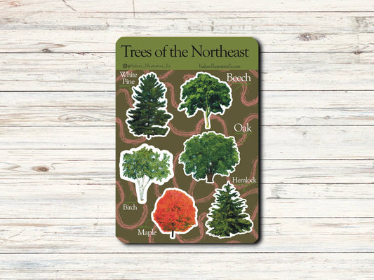 Trees of the North Sticker Sheet - Hiking, Camping, Nature